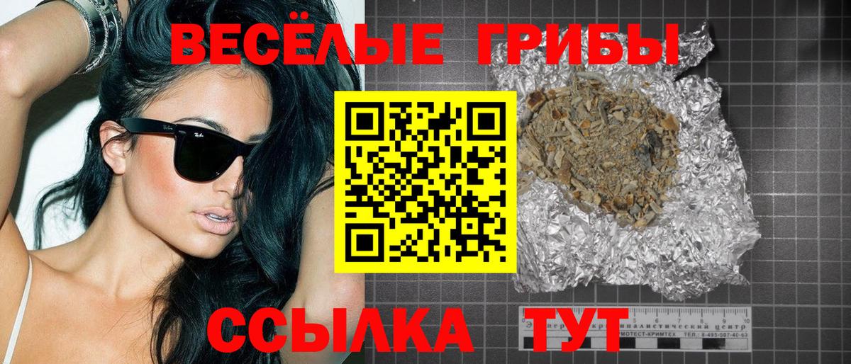 Псилоцибиновые грибы Psilocybe  Вход с VPN  Советск 